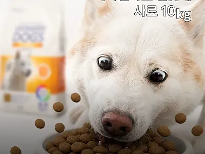 시바견사료 진돗개사료 10kg, 2만 관련 이미지 1